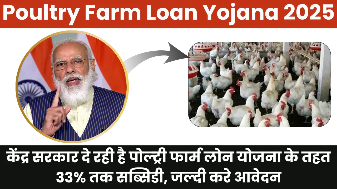 Poultry Farm Loan Yojana 2025: केंद्र सरकार दे रही है पोल्ट्री फार्म लोन योजना के तहत 33% तक सब्सिडी, जल्दी करे आवेदन