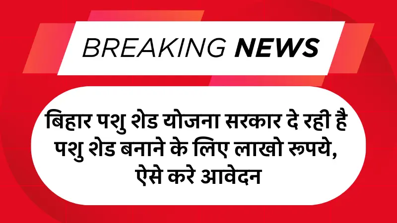 Bihar Pashu Shed Yojana 2025: बिहार पशु शेड योजना सरकार दे रही है पशु शेड बनाने के लिए लाखो रूपये, ऐसे करे आवेदन