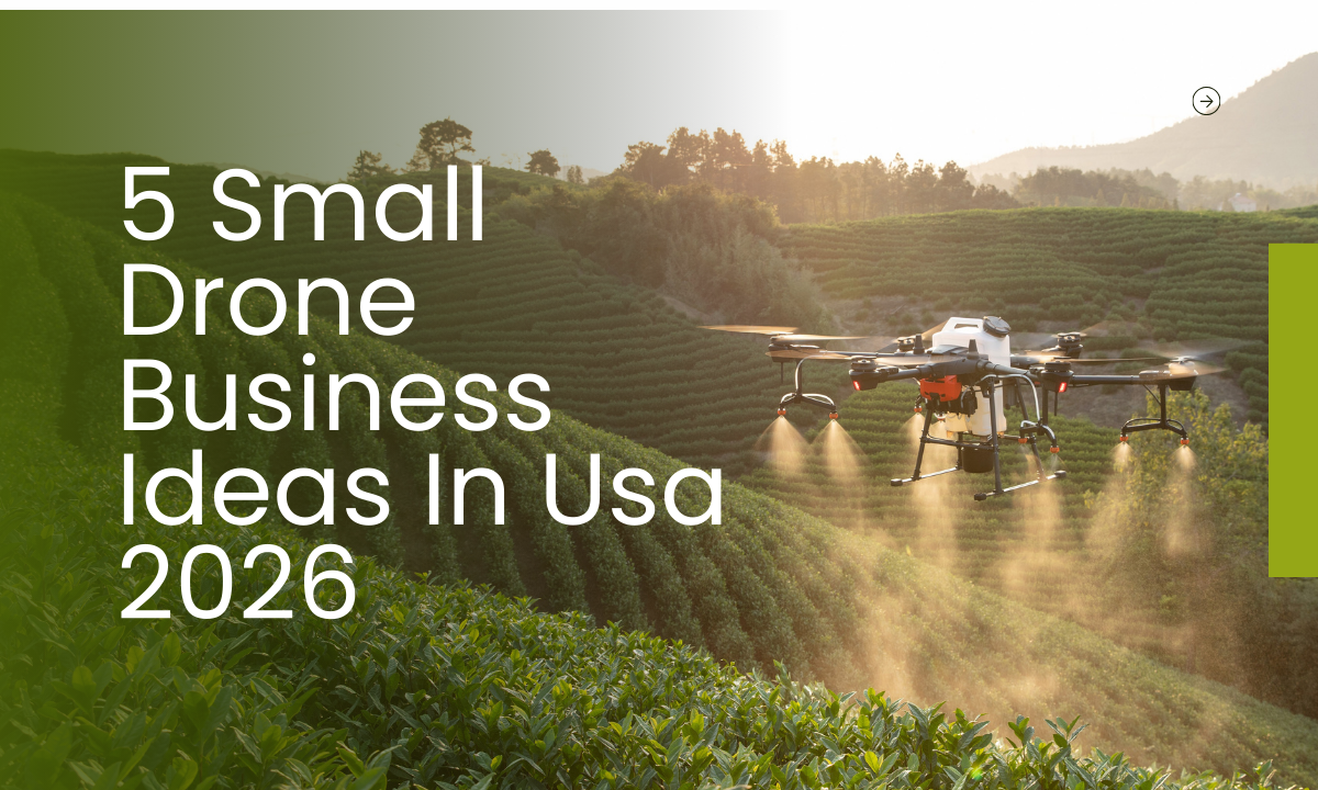 Small Drone Business Ideas In Usa 2026